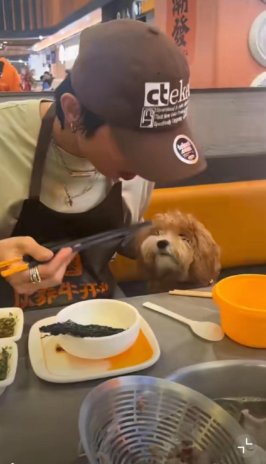 偷偷把宠物狗带进火锅店，还拍喂食视频发上网，这种人都是什么心理？[酷拽]带狗进店