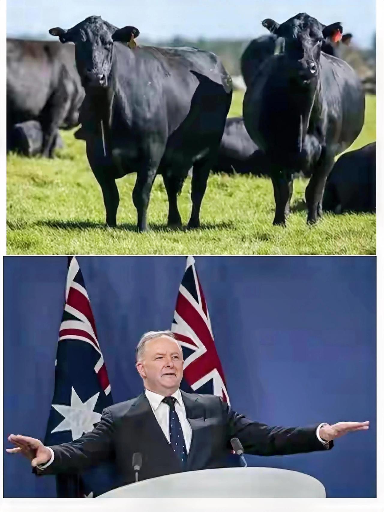 2025刚军演完就制裁！
澳方这波操作真没必要
 
解放军在自家地盘搞围台军演，