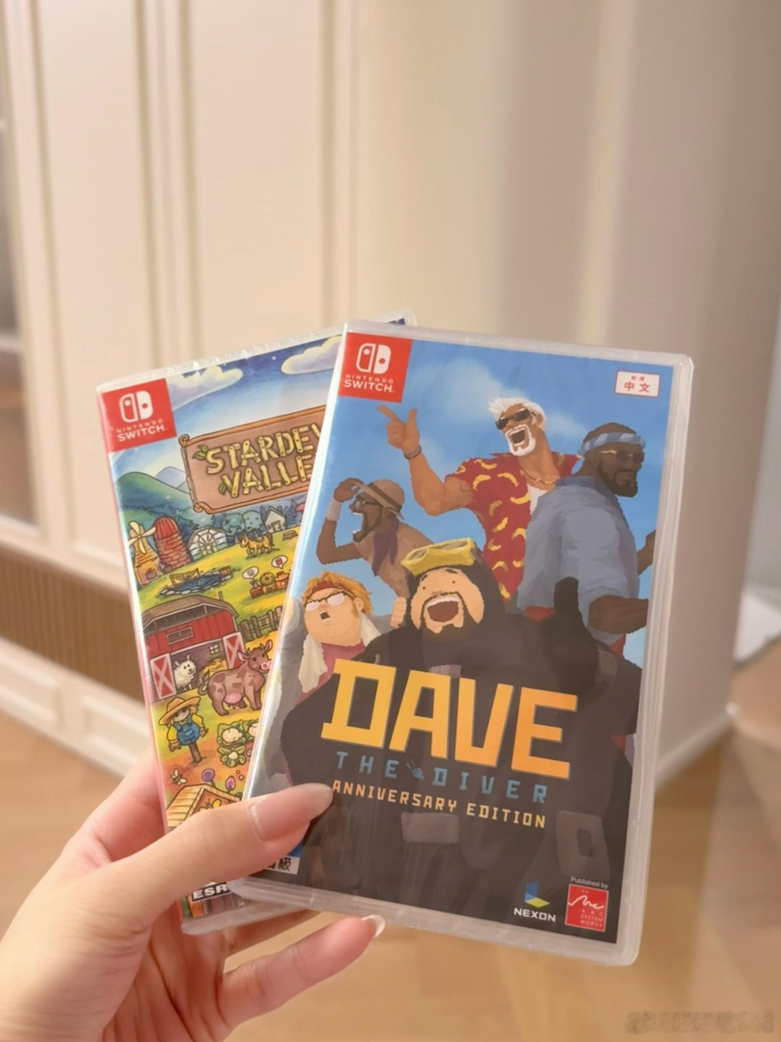 一天打两份工，上午当农民，下午当渔夫，问题大吗？任天堂游戏推荐潜水员戴夫任天堂s