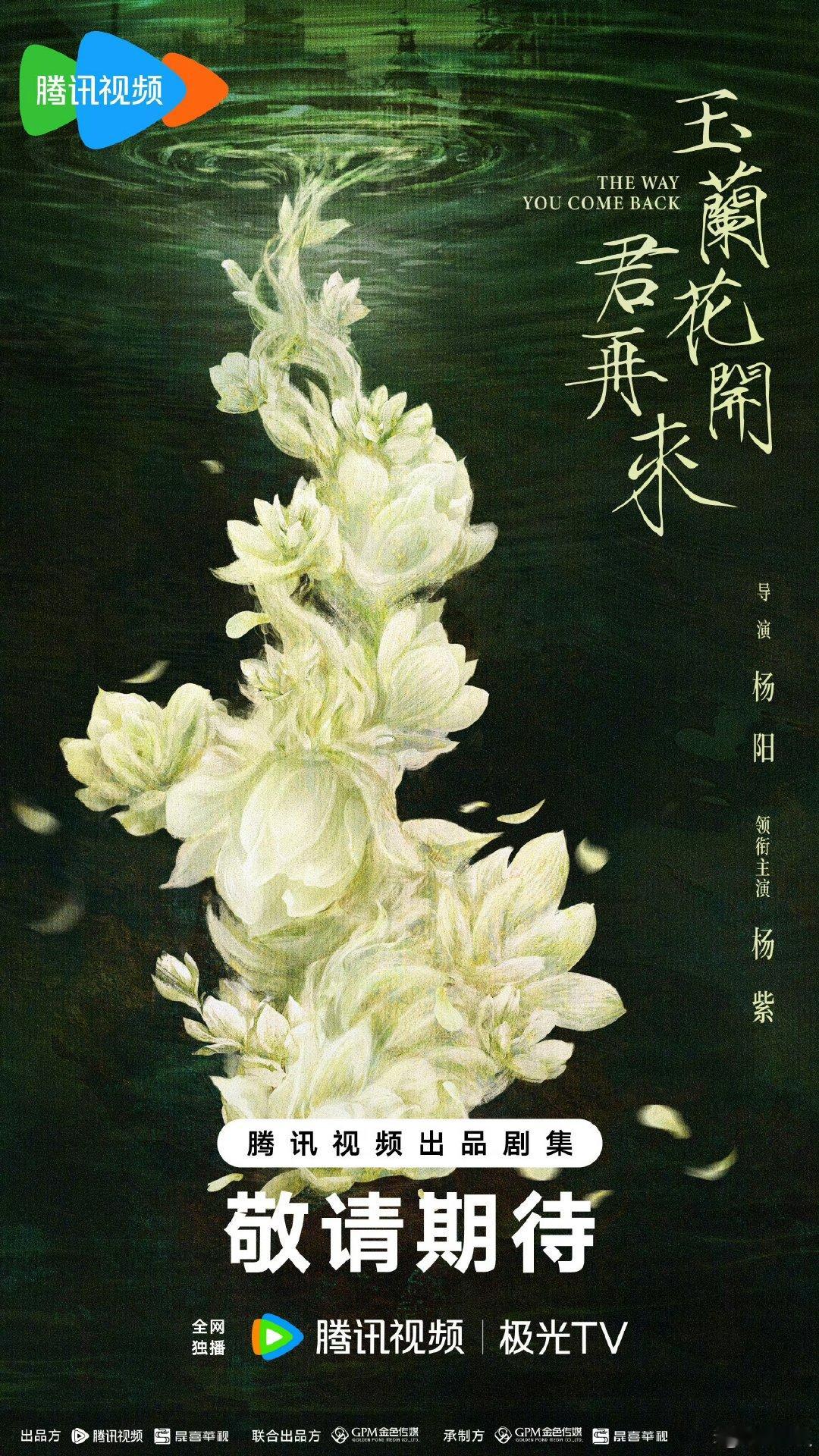 杨紫玉兰花开君再来官宣了玉兰花开君再来单独官宣杨紫 杨紫《玉兰花开君再来》官宣了
