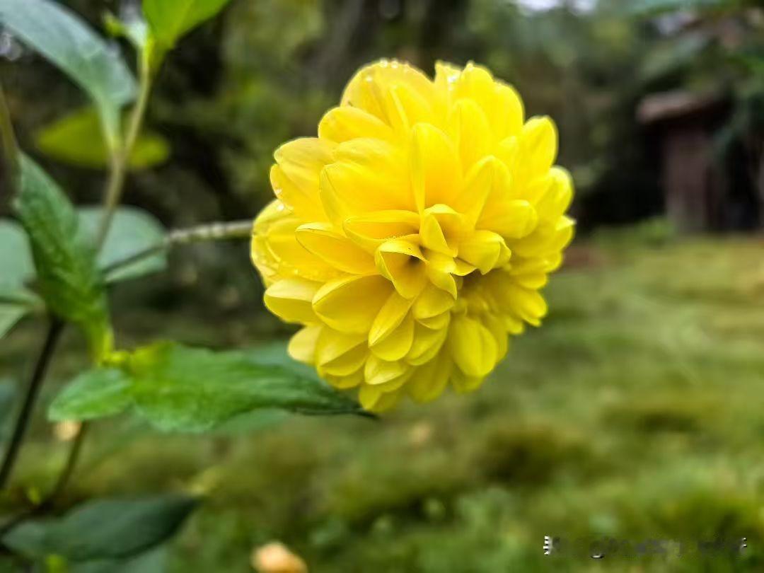 我找工作有诀窍，看到有招工的马上打电话咨询，然后跟负责人预约时间。

去面试的时