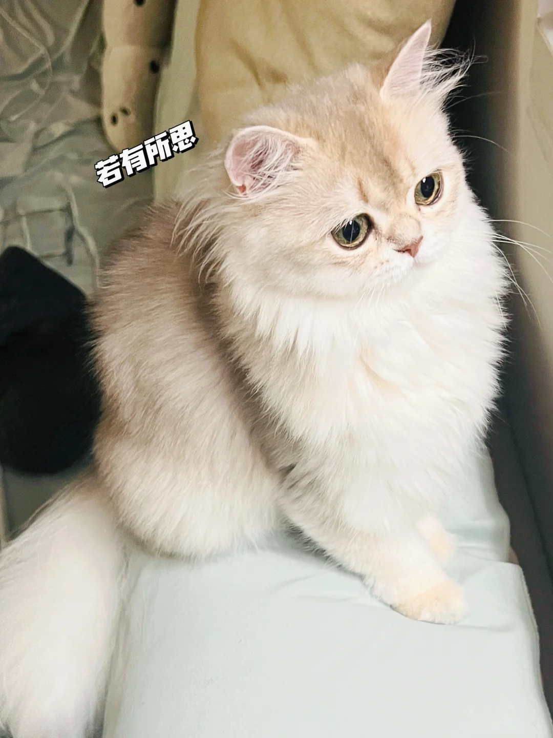 你又在想什么呐