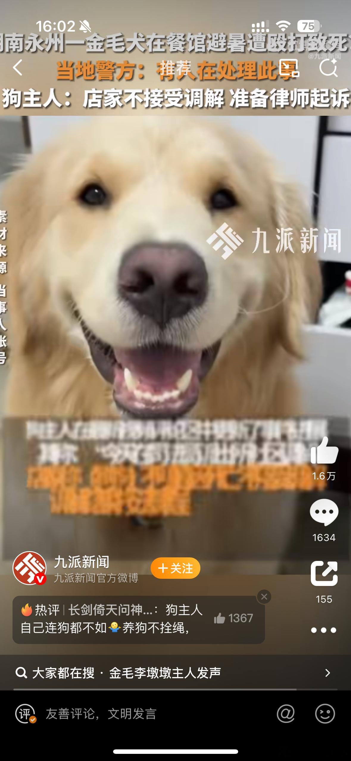 警方回应金毛疑在餐馆蹭空调被打死理性看待首先作为宠物主人为什么不拴绳，把家门锁好