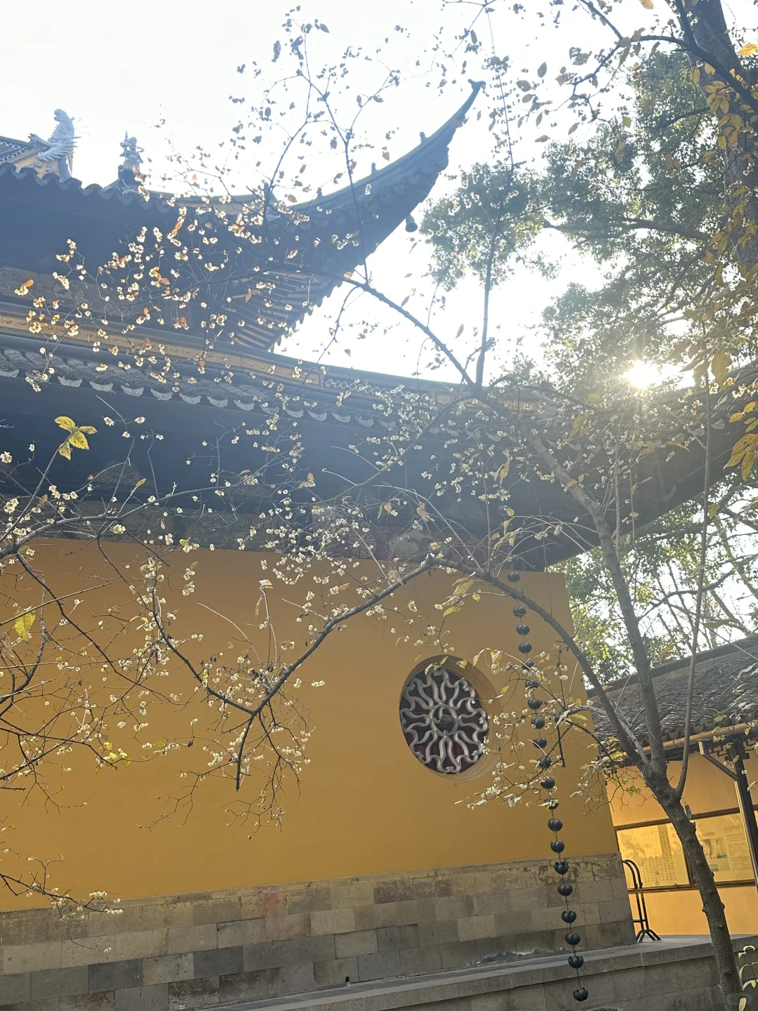 西园寺的🧧