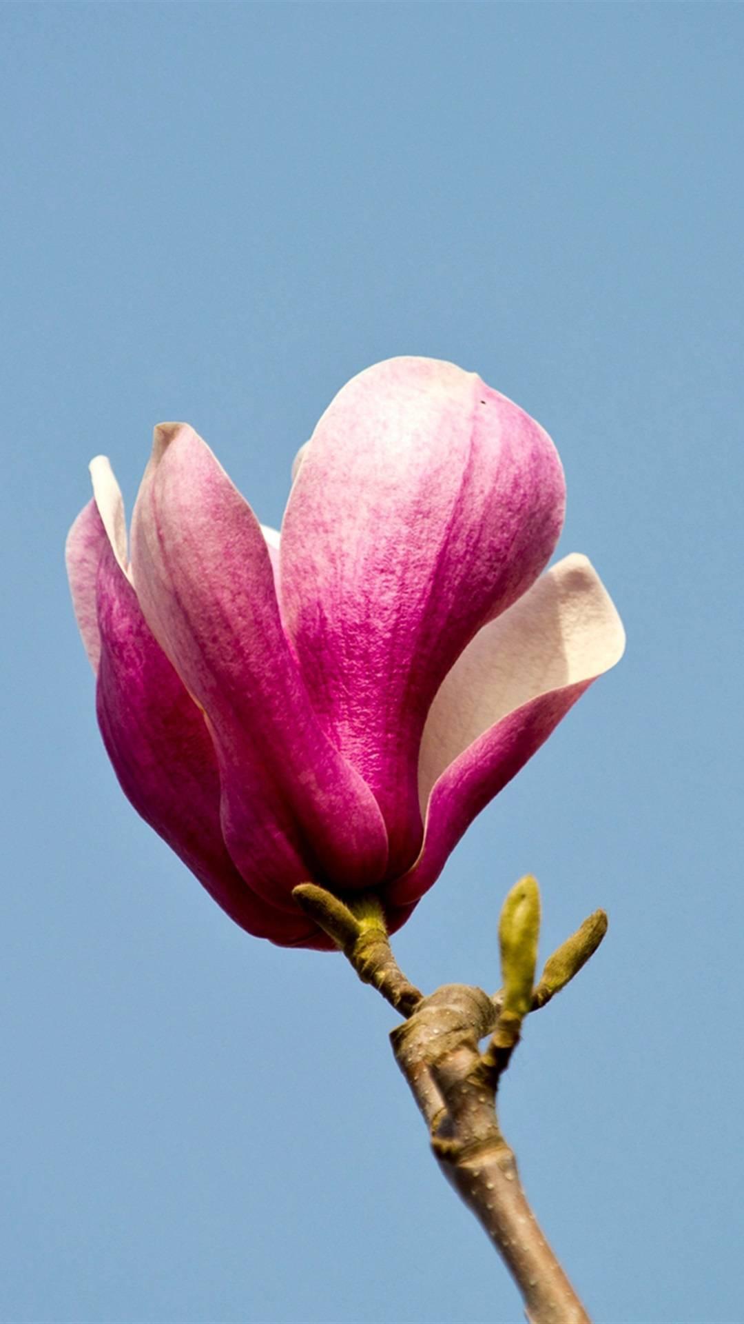 周一震荡幅度加剧，留意高低切换！
周一大A受周末诸多利好刺激高开，竞价阶段，板块