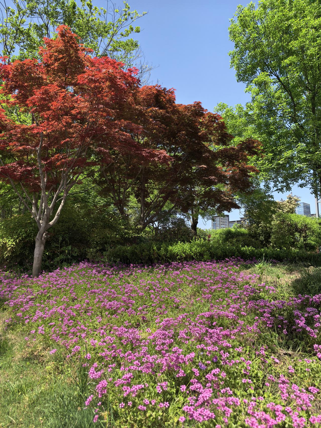 有时候我也蛮佩服自己的执着的。
在外跑，经常会碰到买不上有座车票的情况，只好先买