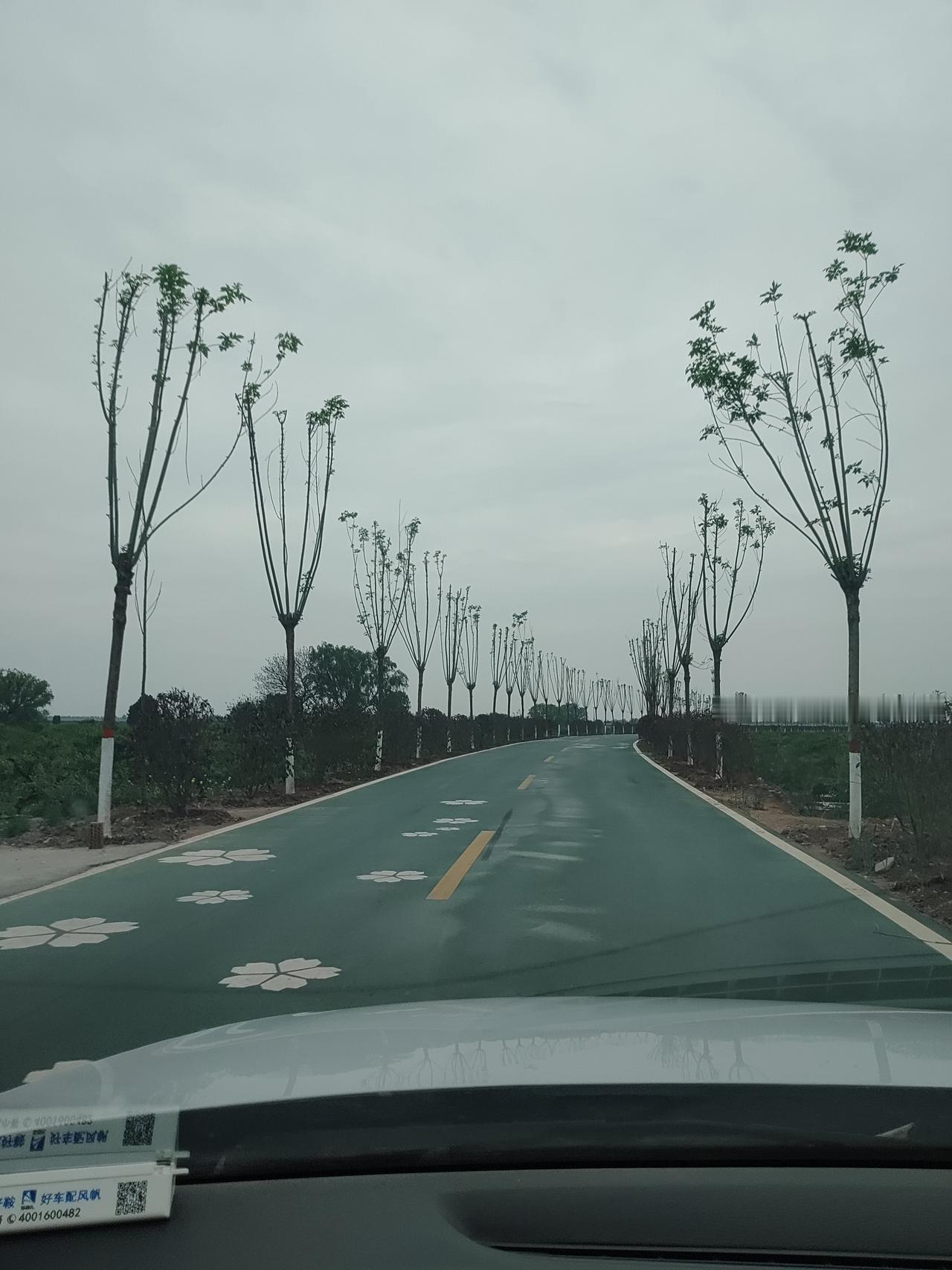 昨天带家人出去游玩，不小心开车上了一条几里路长的自行车专用车道，走了好远来到一个