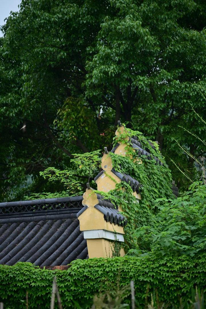 『山中庭院』生活鲜活又流动，用心，有景色、有收获。摄影 宝藏摄影博主推荐计划