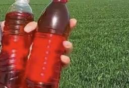 保定通报灌溉井水呈红色

用“红茶水”浇麦子，种出来谁还敢吃？
村民们用这水浇了