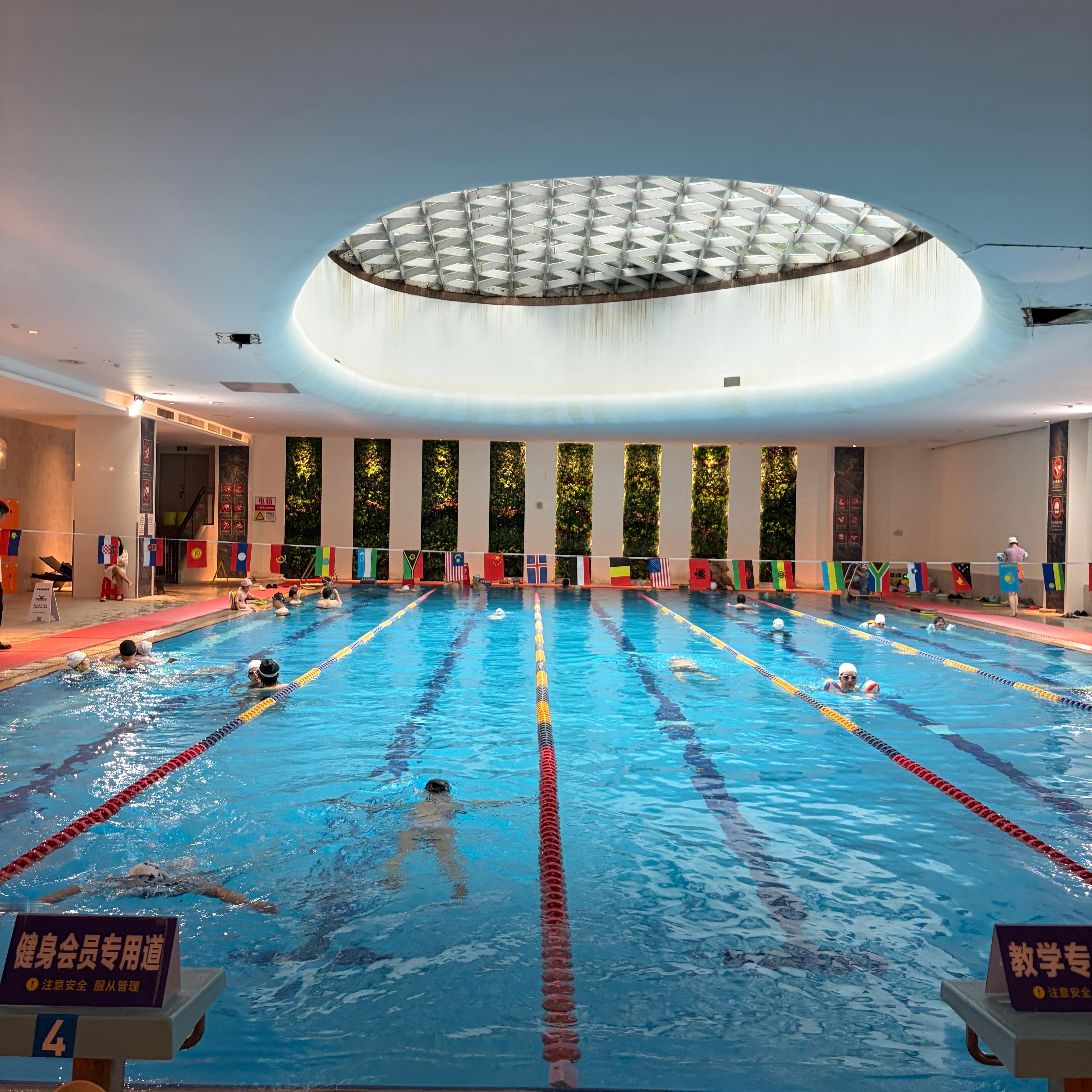 这周开始每周两游🏊🏻♂️ 