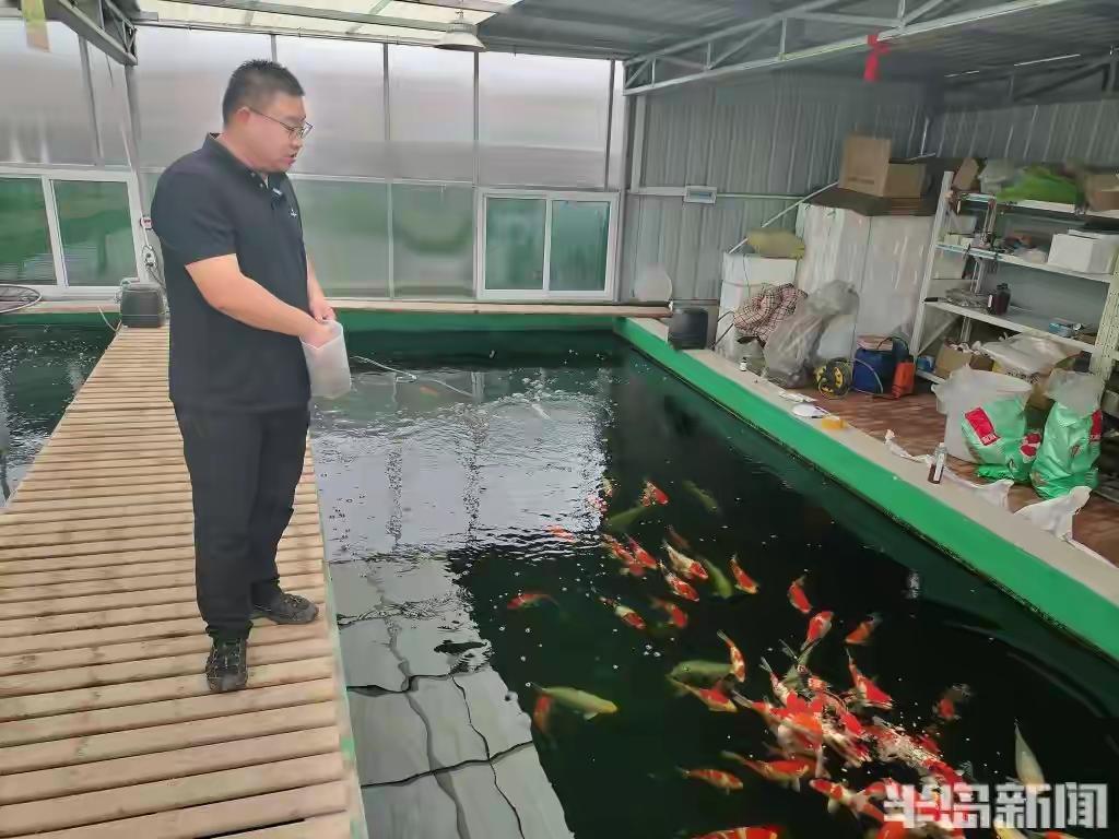 青岛桃源河畔惊现