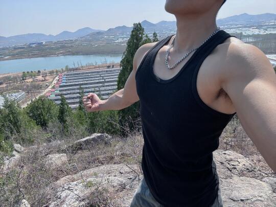 山上蚊虫多。