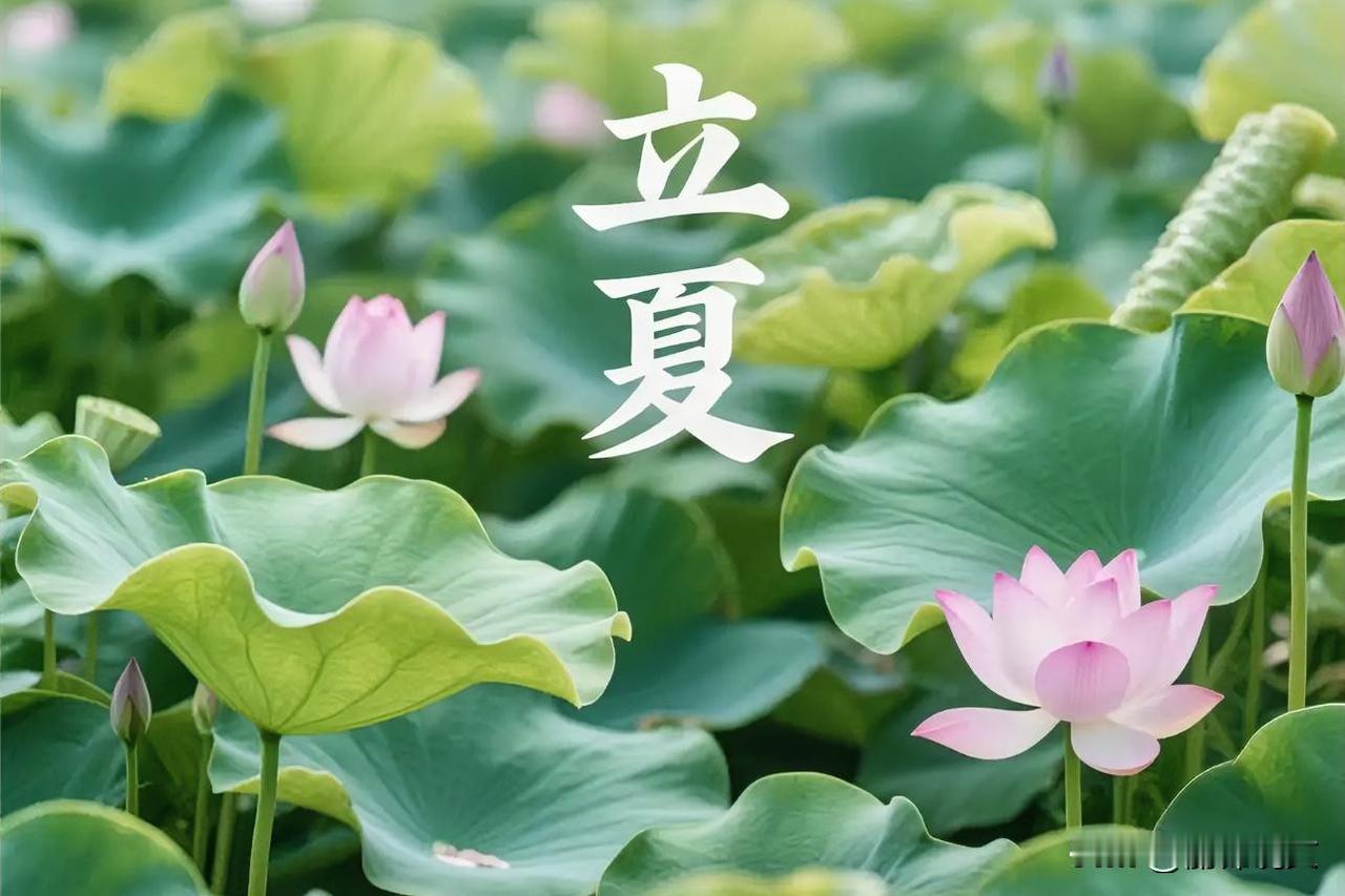 5月5号立夏，今年不一般！吃2样、喝2样、做2事，安稳入夏
 







