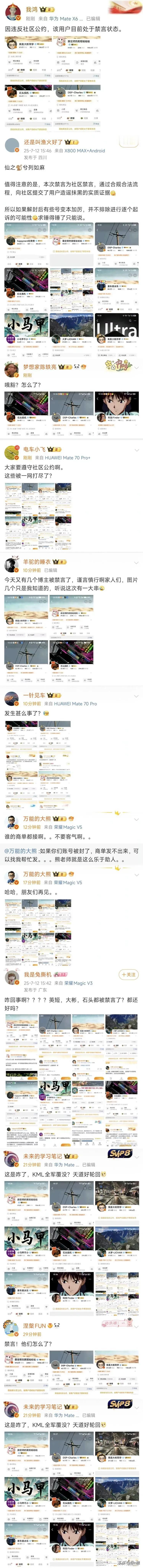 来总这是妙计安天下，还是和稀泥？先封花系，让米系先高潮两周，再封米系。从花系被封