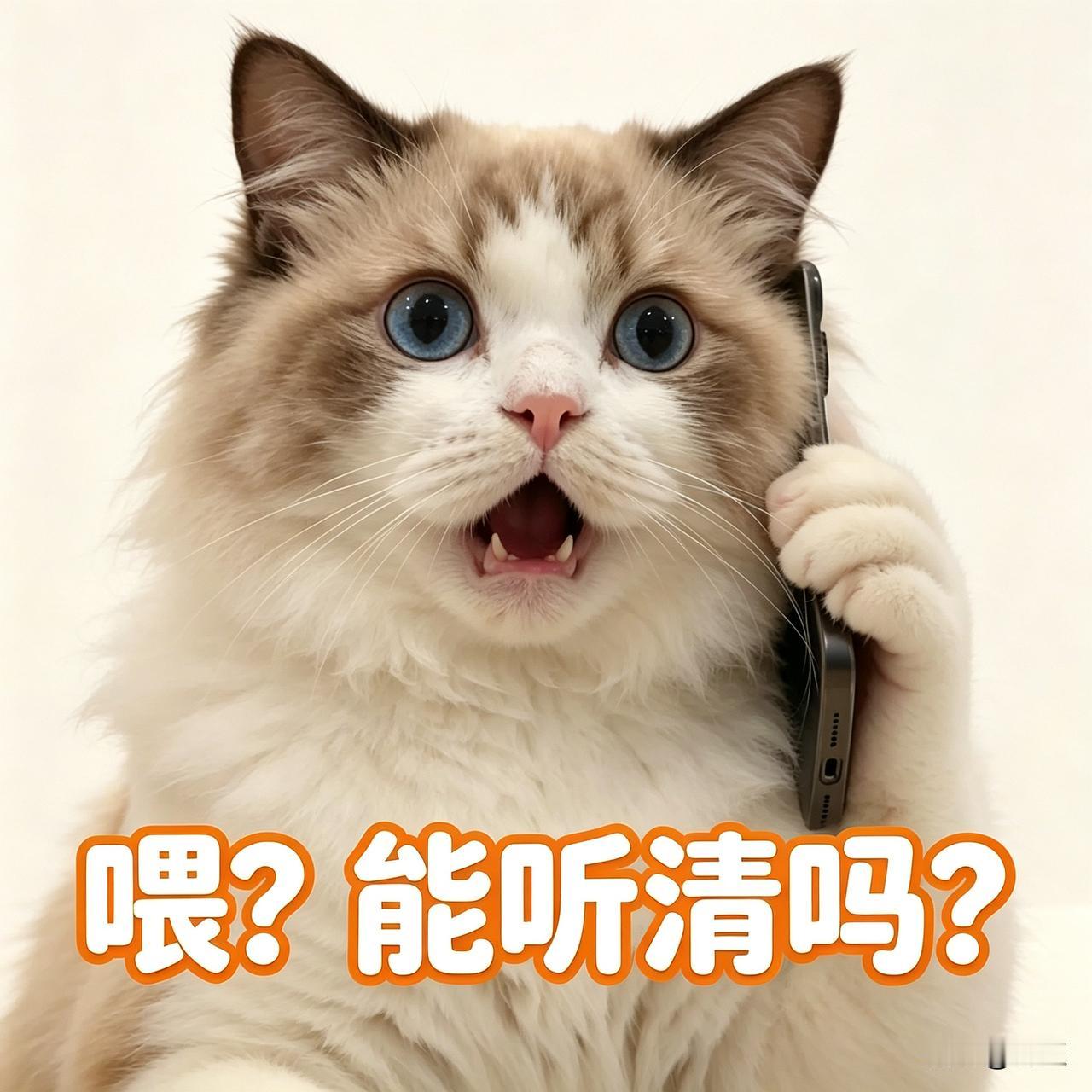 今天去客户那里，帮他解决天猫店铺产品问题，开车2小时，高速好大的雨，车子都飘了，