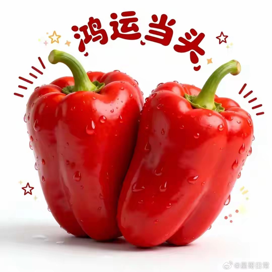涉浅滩者得鱼虾，入深水者得蛟龙，敢于深入探索，才能获得更大的成就。伊朗亿万豪门千