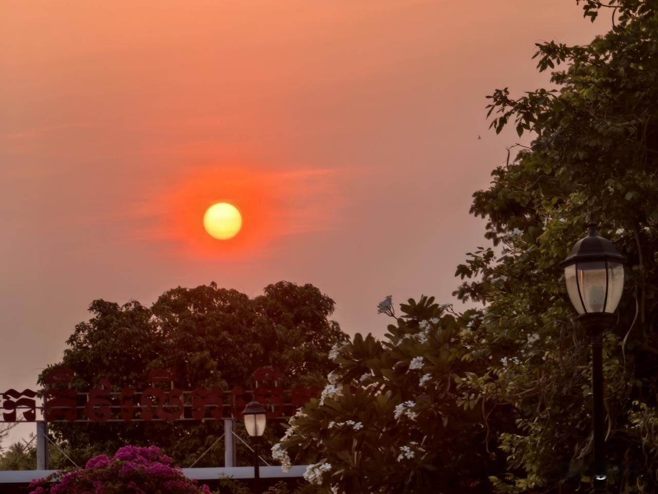 主打一个本国人不坑外国人。
造电动车的没问题，卖电动车的没问题，骑电动车的有问题