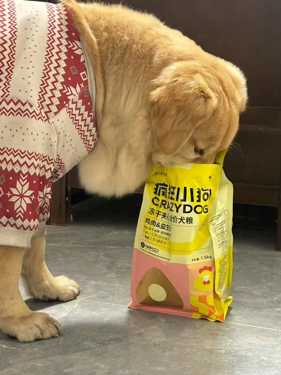 不是…你有狗碗的好吗
