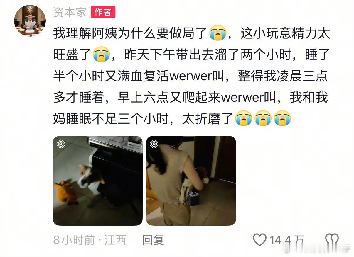 比格受害者联盟加一 ​​​