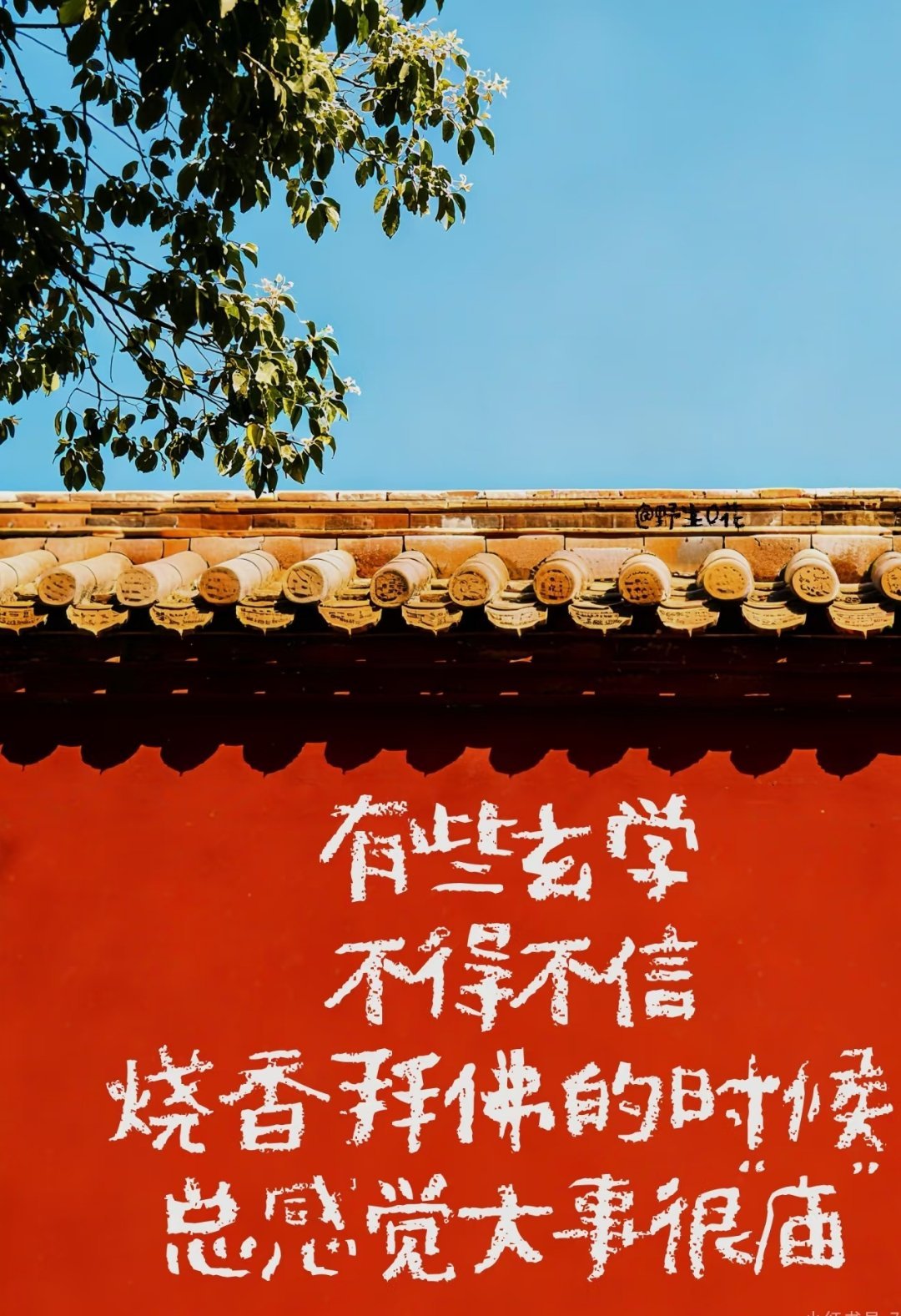 怪不得老祖宗这么喜欢许愿怪不得老祖宗这么喜欢许愿，人间烦恼太多，总要寻一处寄托。