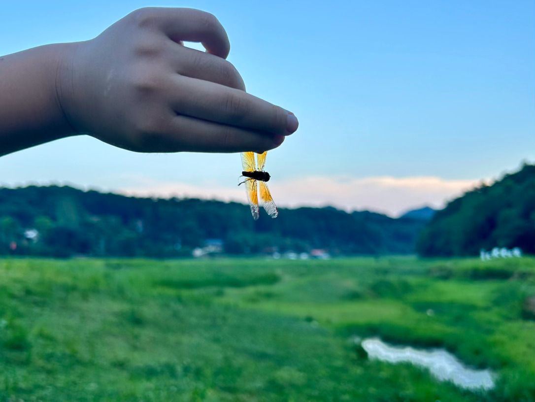 柚子哥哥暑假第37天的plog~今天是钓鱼🎣的一下午！新东方钓鱼🎣，哥哥弟弟