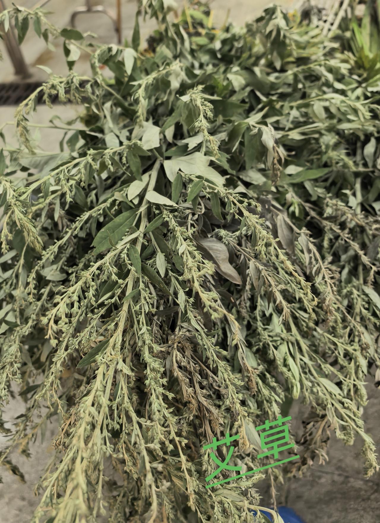 又到了一年一度的端午节，各地的风俗略有不同，同样的是:吃粽子、赛龙舟‌，寓意驱邪