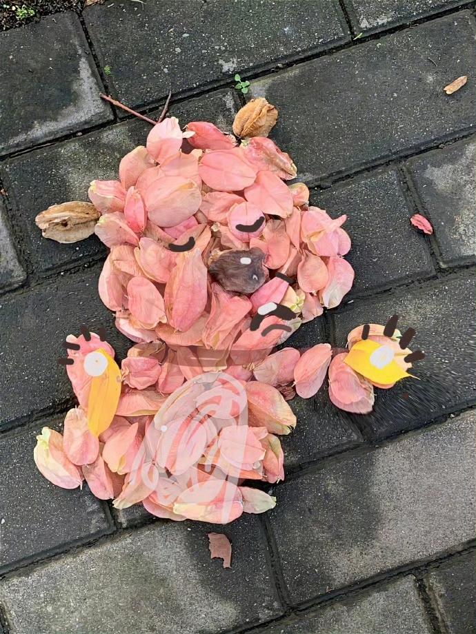 原来秋天就在我手里