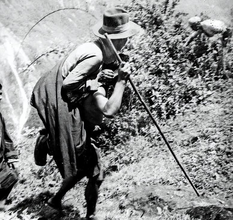 有张老照片，第一次瞅见的人准得愣住：一个人四肢撑地趴着，背上稳稳坐着另一个人，头