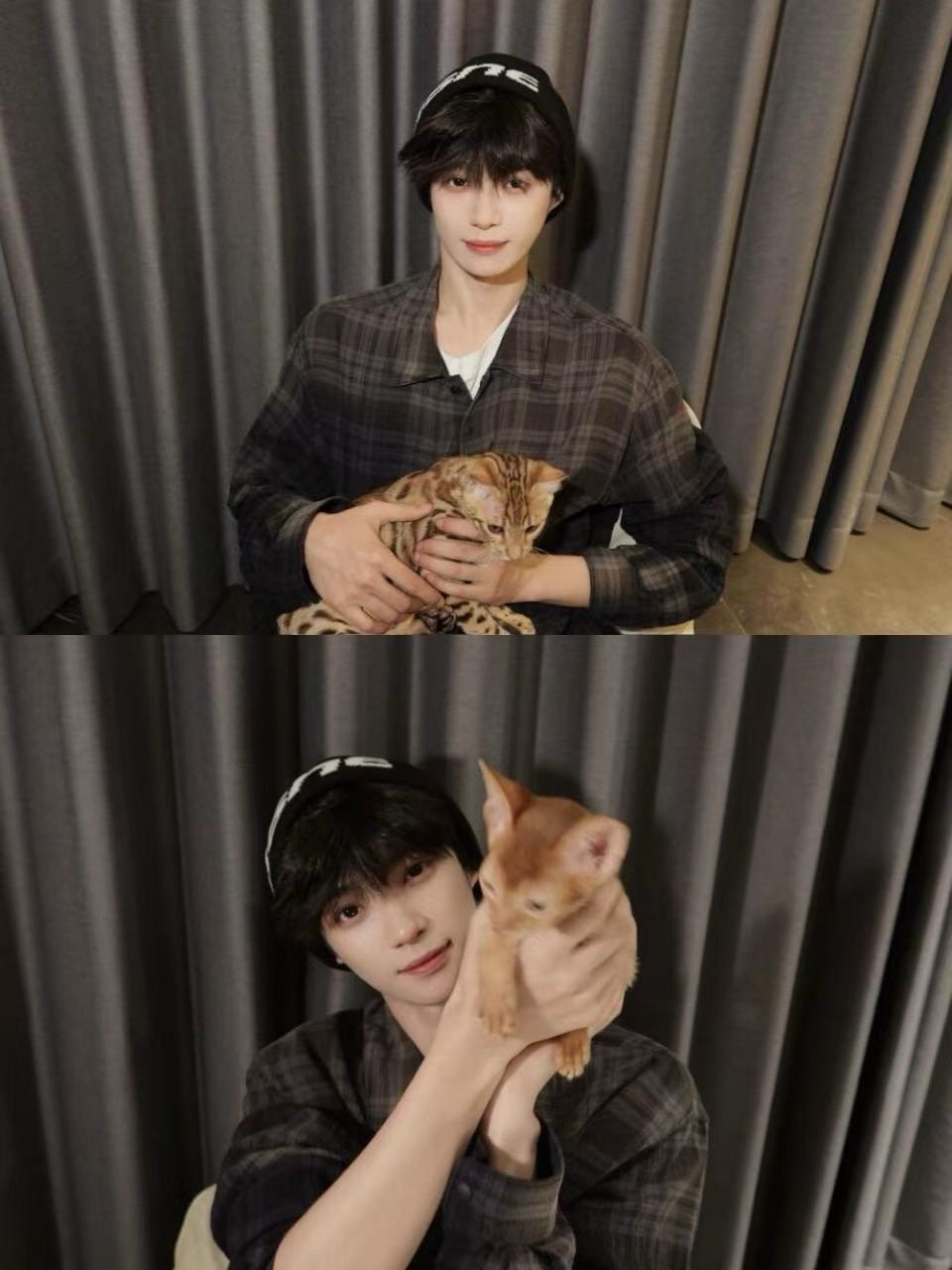 三小只真可爱✧⁺⸜(●˙▾˙●)⸝⁺✧恭喜小渝达成养猫成就让小渝陪着猫猫一起成长