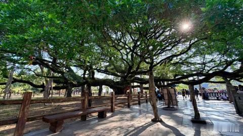 来福州上大学的原因又加一福州大学最好的招生简章不止有绝美的自然景致，福州还有超多