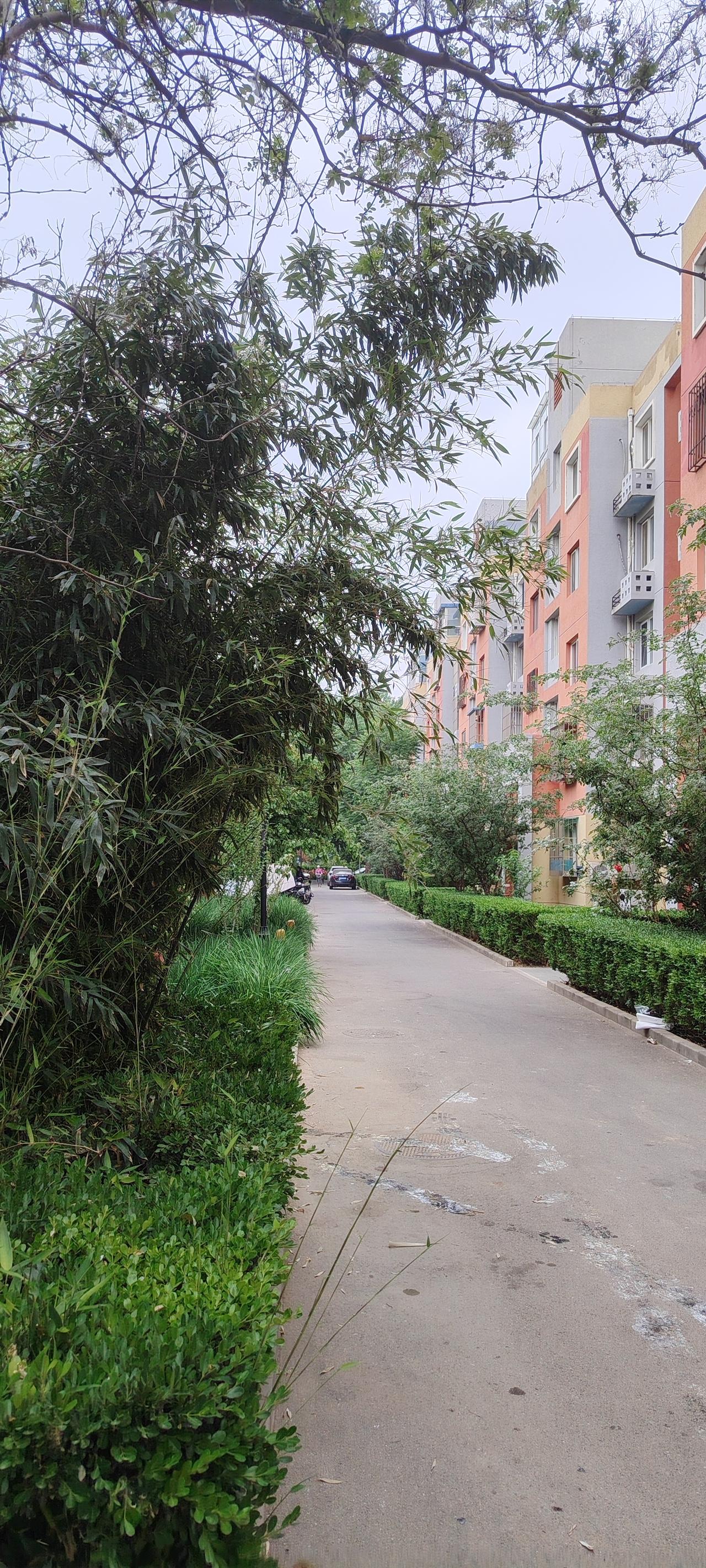 每一个清晨，都是生活递来的崭新请柬。别让昨日的遗憾遮住今日的阳光，带上你的热忱与