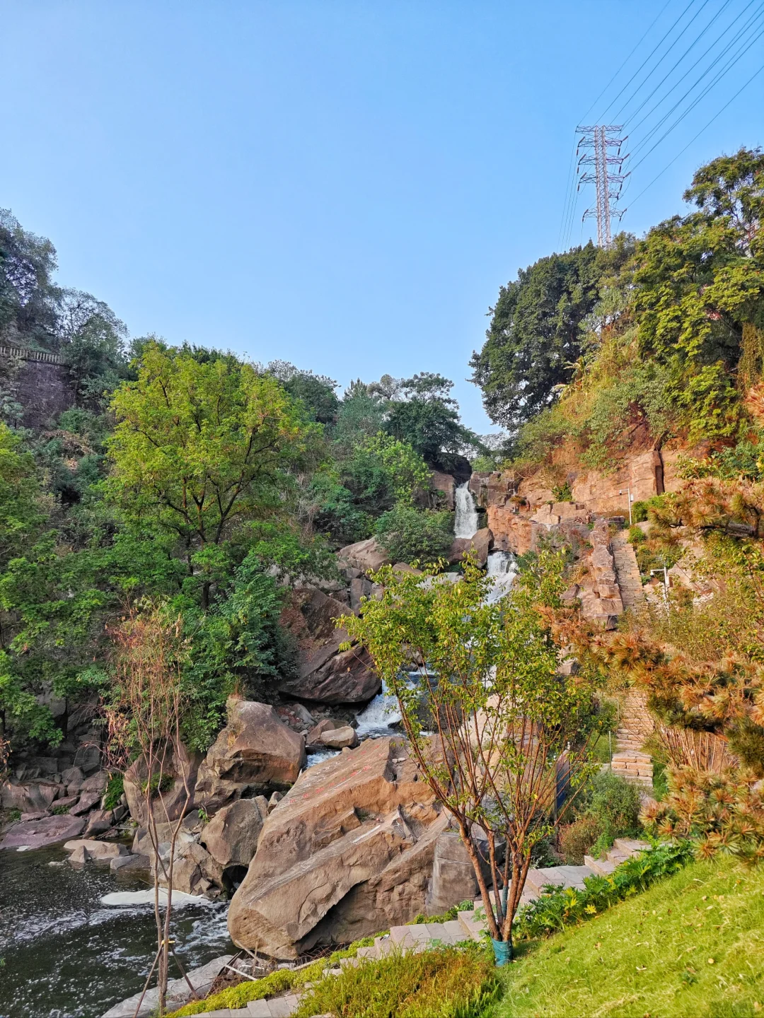 重庆北滨路某处隐藏的大猫（citywalk302）