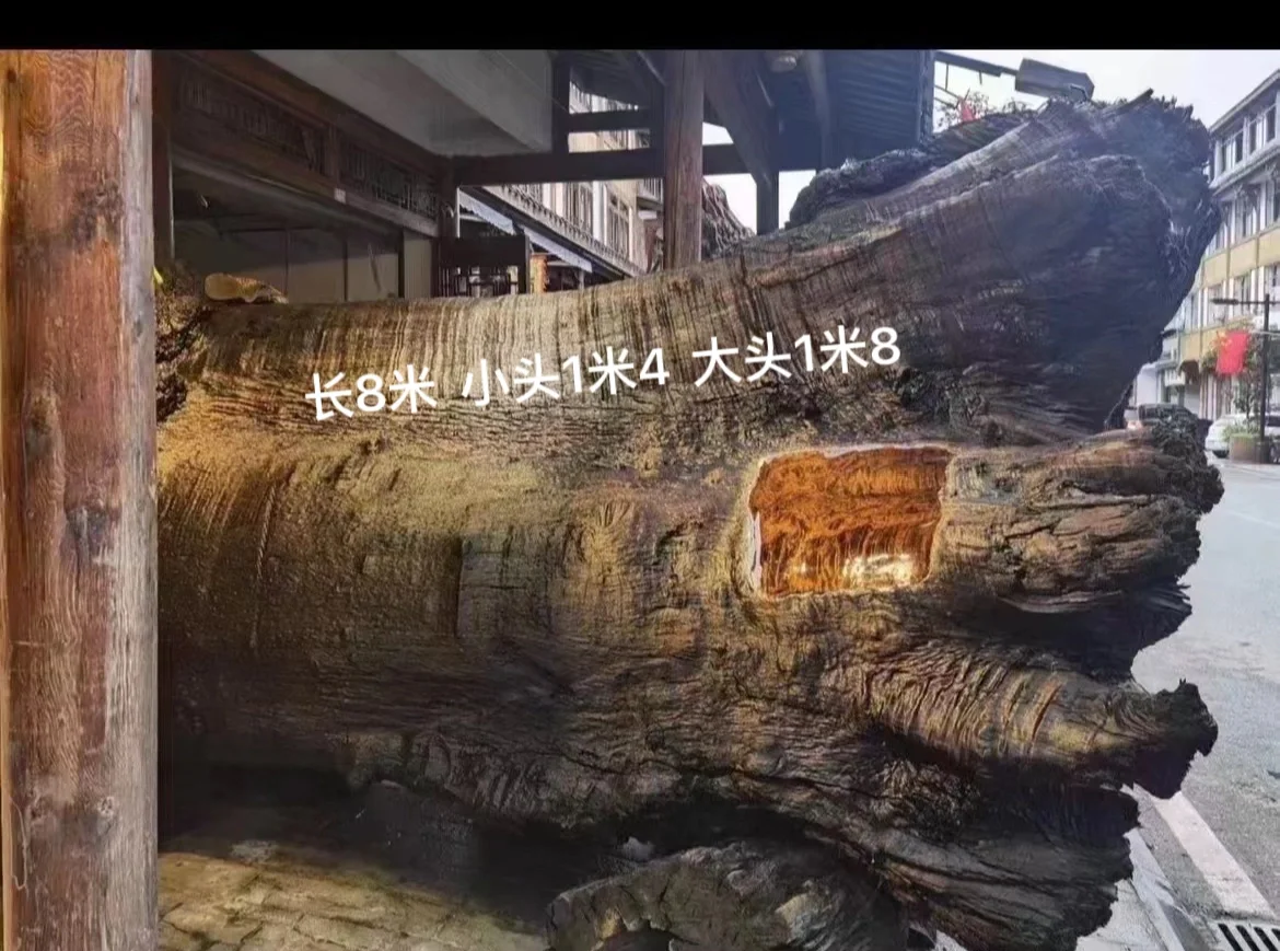 长8米 的千年乌木金丝楠