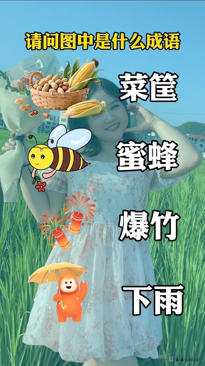 用“菜筐 蜜蜂 爆竹 下雨”组合成语，还挺有挑战性。可以联想出一个场景，下雨时爆