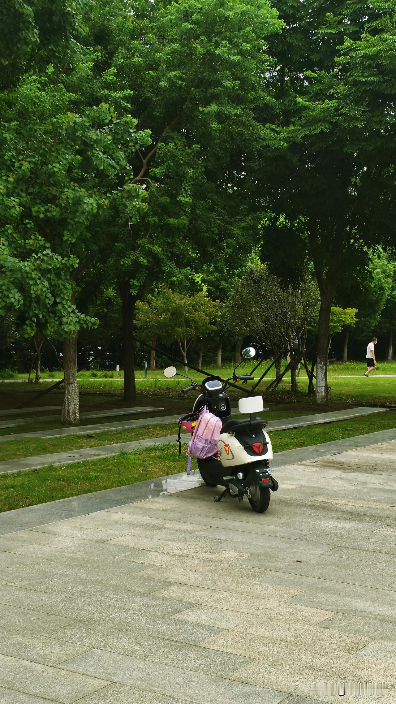 这波降温来的真的太猛了，完全没给人留缓冲的余地。
未来5天长江以北不少地方最高温