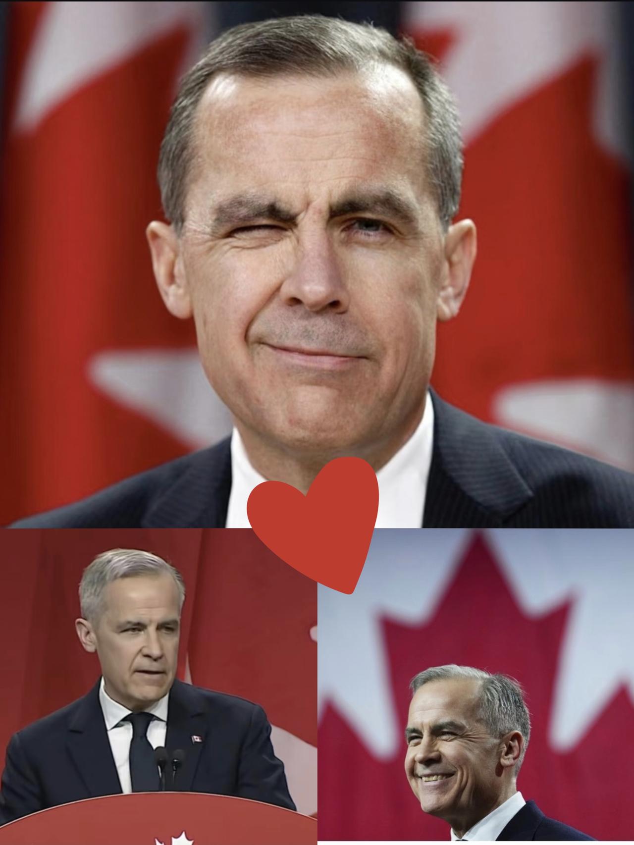 这回加拿大算是彻底不装了！

之前跟着老美屁股后面起哄，硬要对中国电动汽车加征1