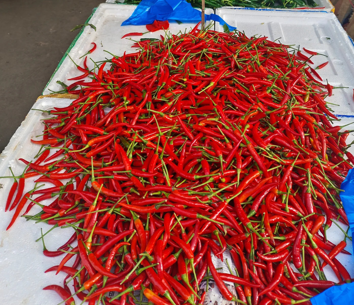 餐馆辣椒炒肉变肉炒辣椒小米辣已经涨价到这种地步了吗？ 