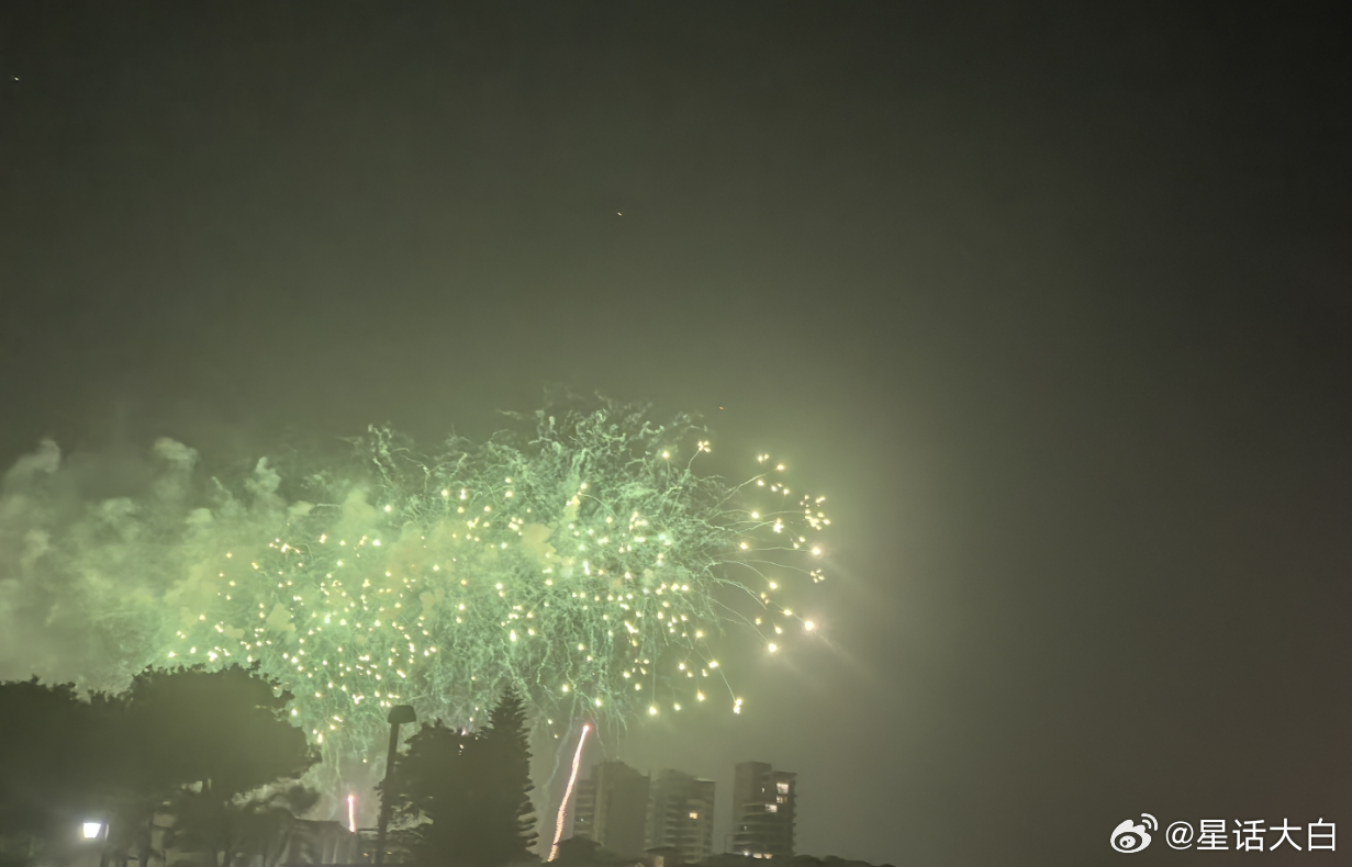 #2025年新年贺词#今天是公历2024年的最后一天，我就陪陪小白去看了烟花秀。