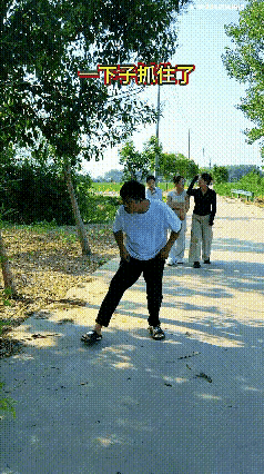 真的超级搞笑啊😆