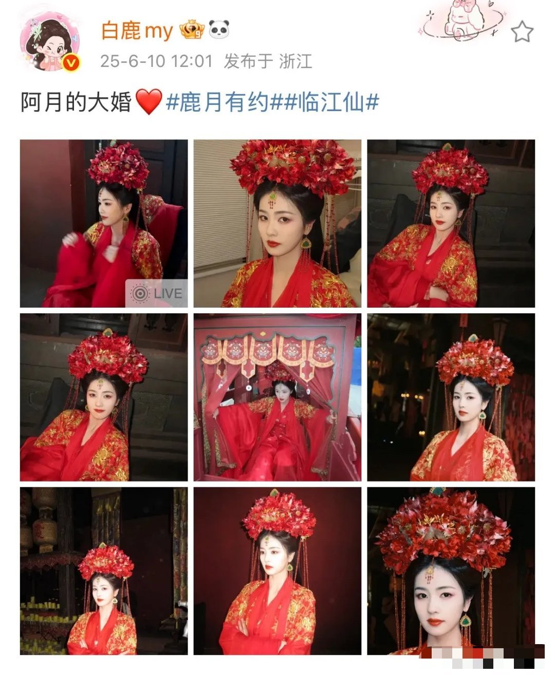 6月10日，白鹿这造型是头顶了一朵鸡冠花吗？白鹿晒出《临江仙》大婚造型照，再次让