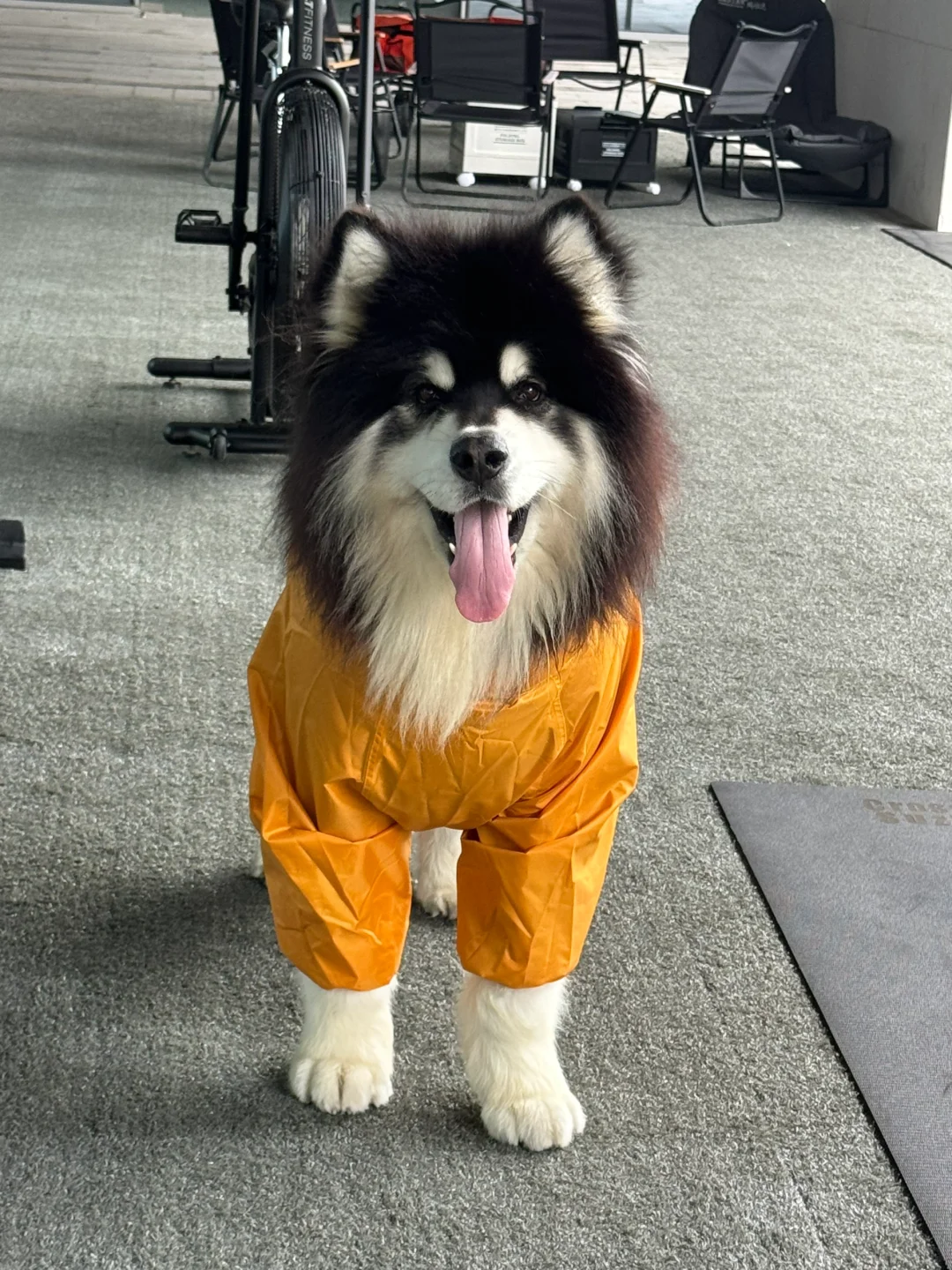 讨厌的梅雨天又开始了