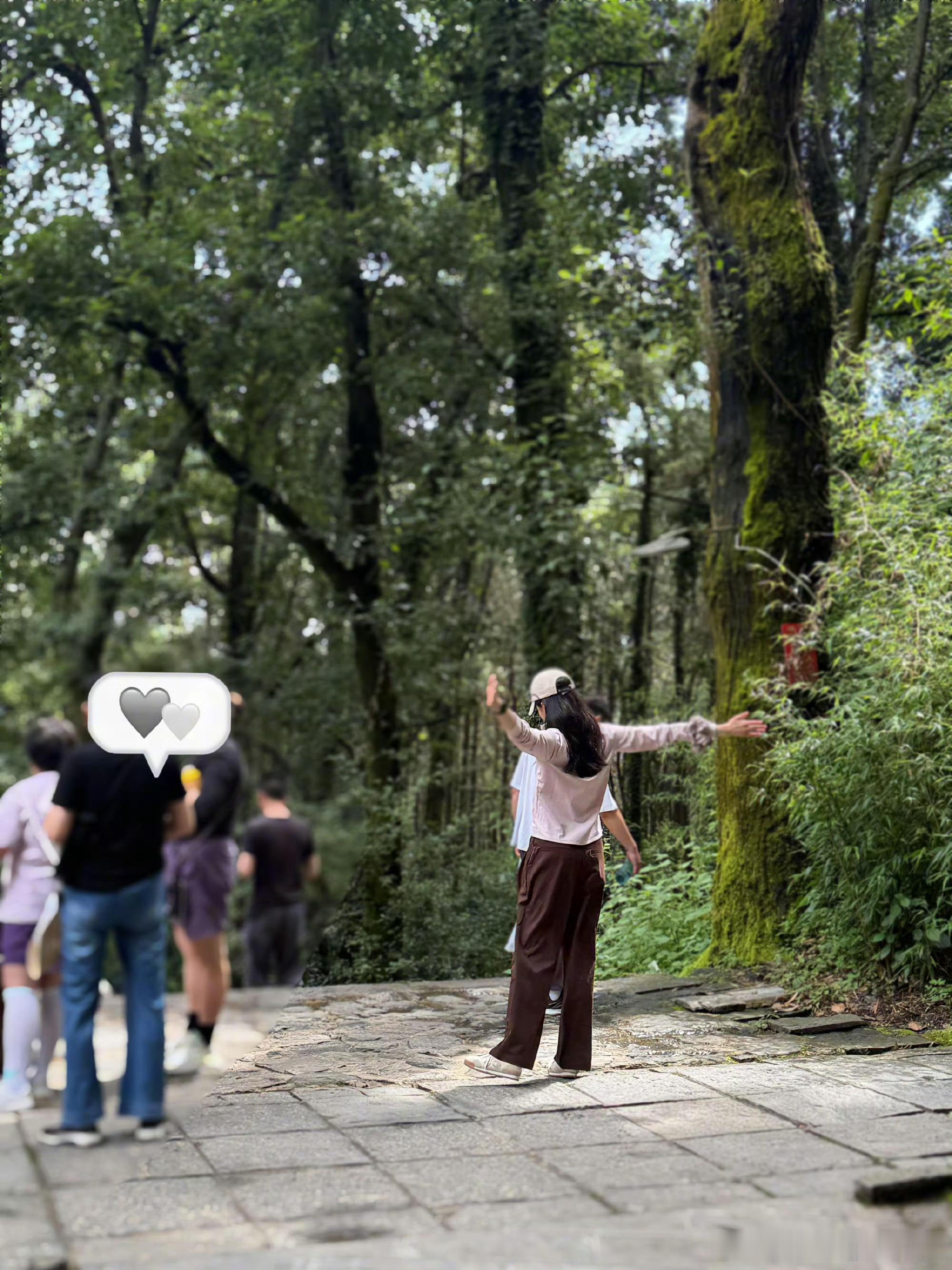 张婧仪大理素颜爬山大理爬山偶遇张婧仪，好骨相自带氛围感，山野之间，眉眼舒展，干净