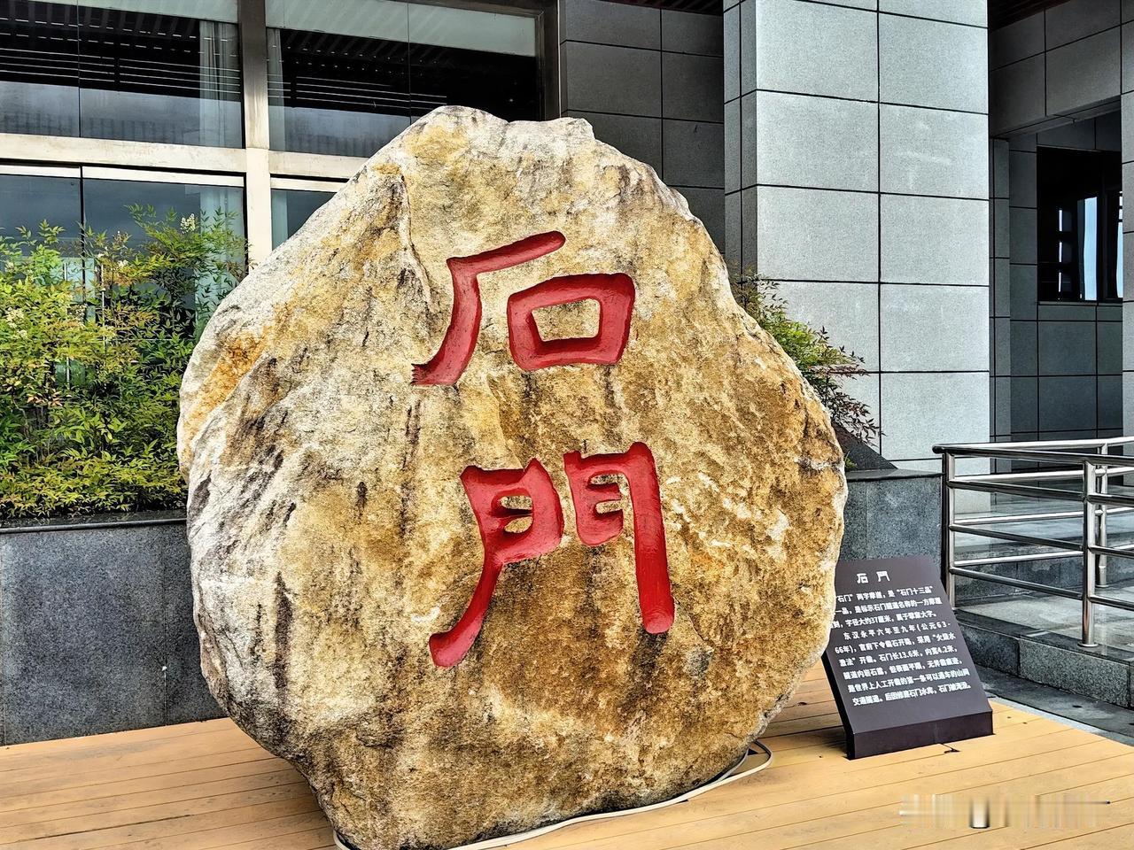 枯树发新芽。