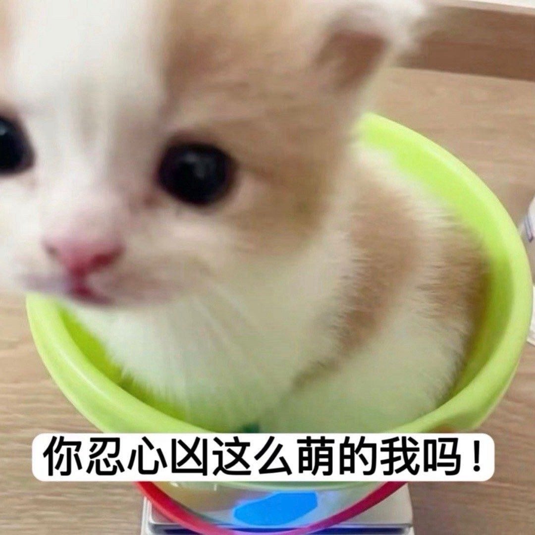 一博SKG【总👍🏻150万】一博今日新发的也要点点！每个浩点满20条 ​​​
