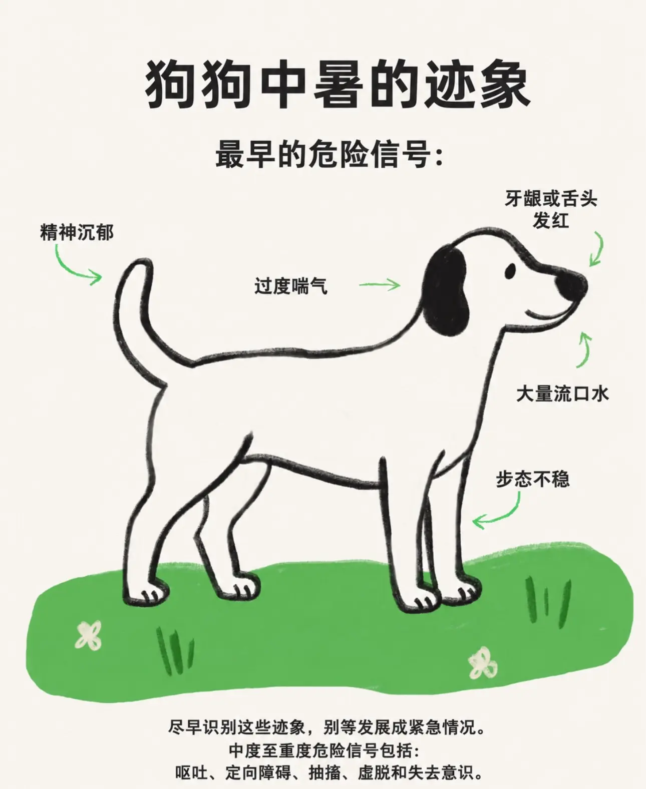 "🐶狗狗无法像人类一样靠全身出汗散热"夏日养护建议： 空调房＞露天阳...