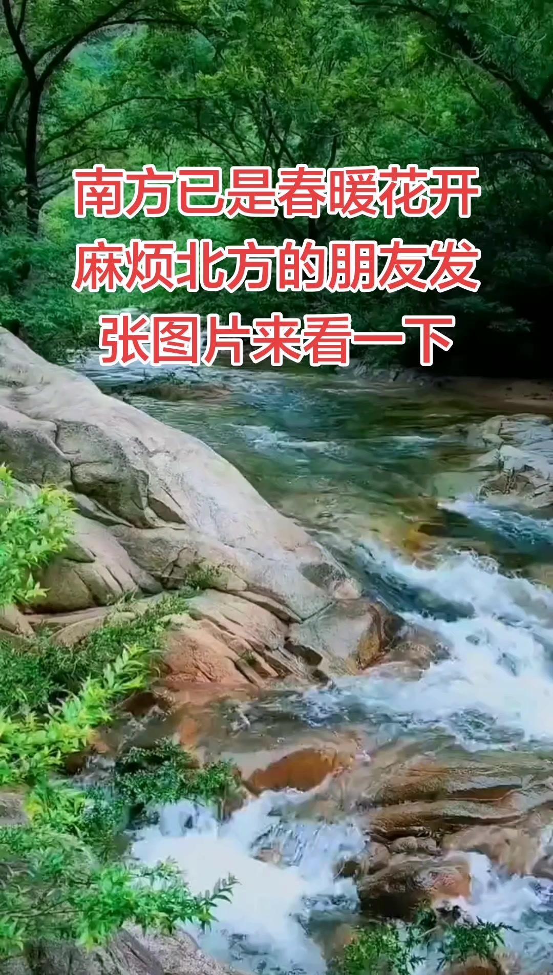 📸用摄影记录生活，我镜头下的自然天地，每一帧都像从画里走出来的一样。清晨的露珠