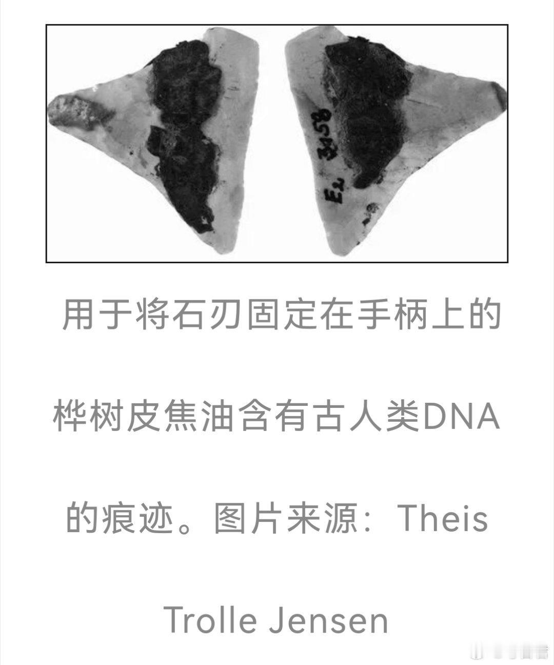 【6000年前古人已学会使用桦树皮焦油修补工具？】 据《科普中国》报道， 10月