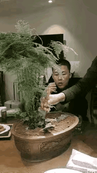 为了一口吃的，无所不用其极！何必呢？