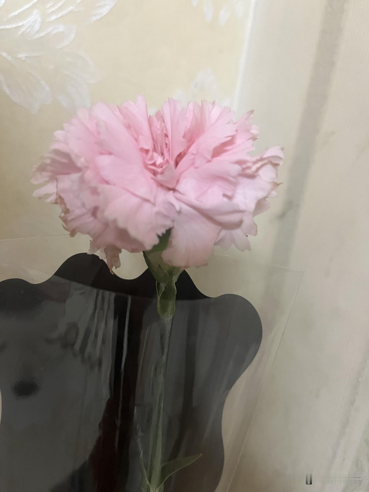 昨天是母亲节，我给婆婆和大姑姐每人买了一支花🌹，大姑姐是粉色的，婆婆的是红色的