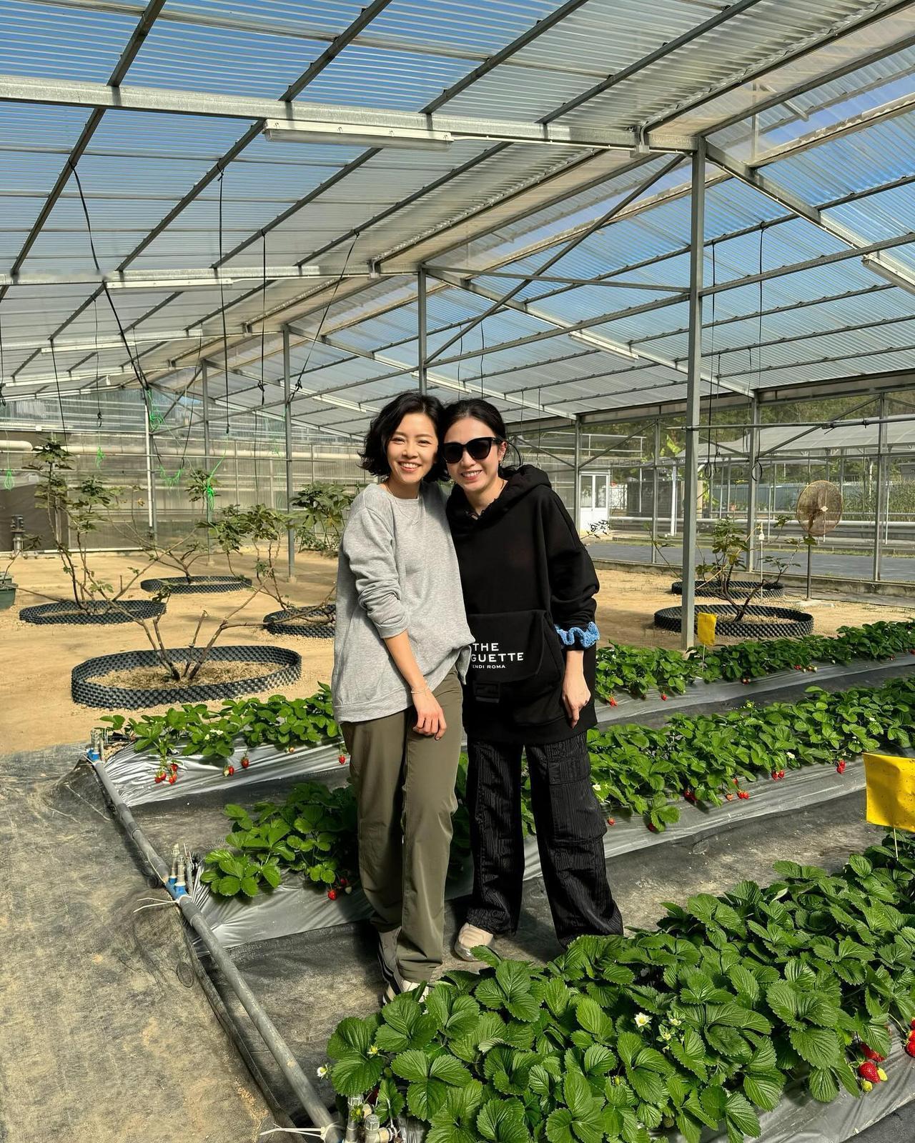 香港女富豪甘比的生活近照，平时都喜欢过着田园生活，有空就种点菜，想不到她这么低调